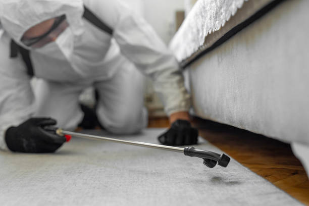 Professional Pest Control technician working in Shelbyville, TN