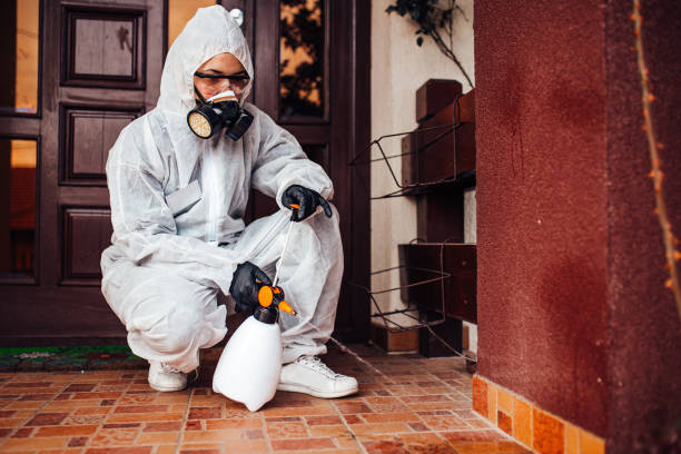 Reliable Bed Bug Control contractor in Shelbyville, TN by Nex Pest Control